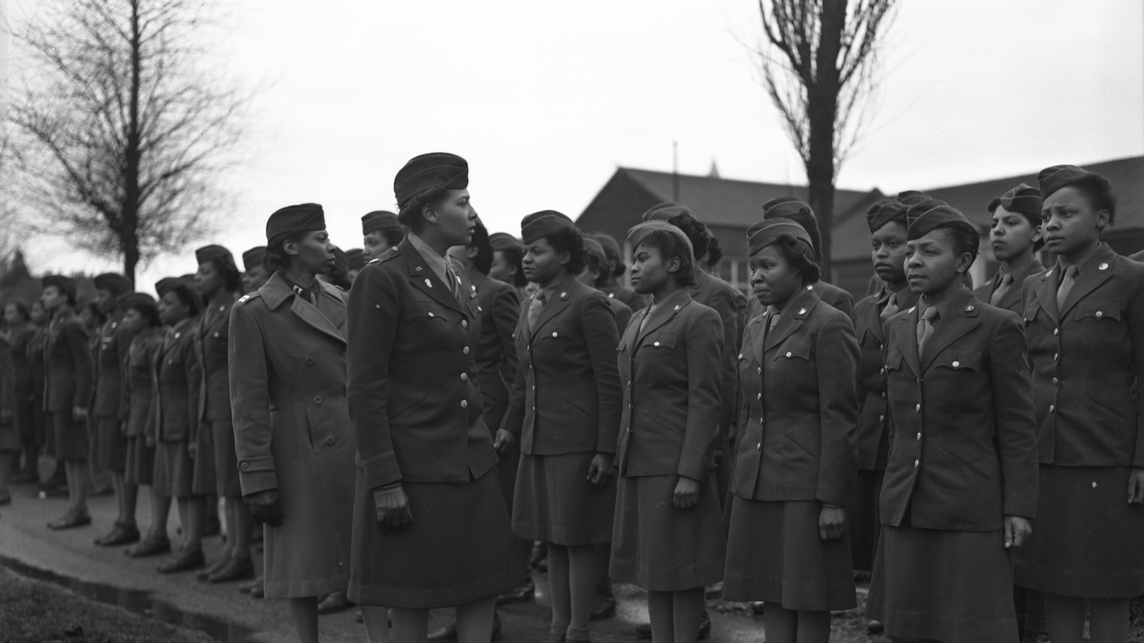 Black History Month Digital Toolkit