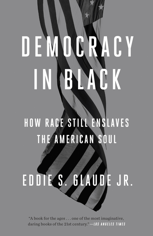 Democracy in Black Book Cover