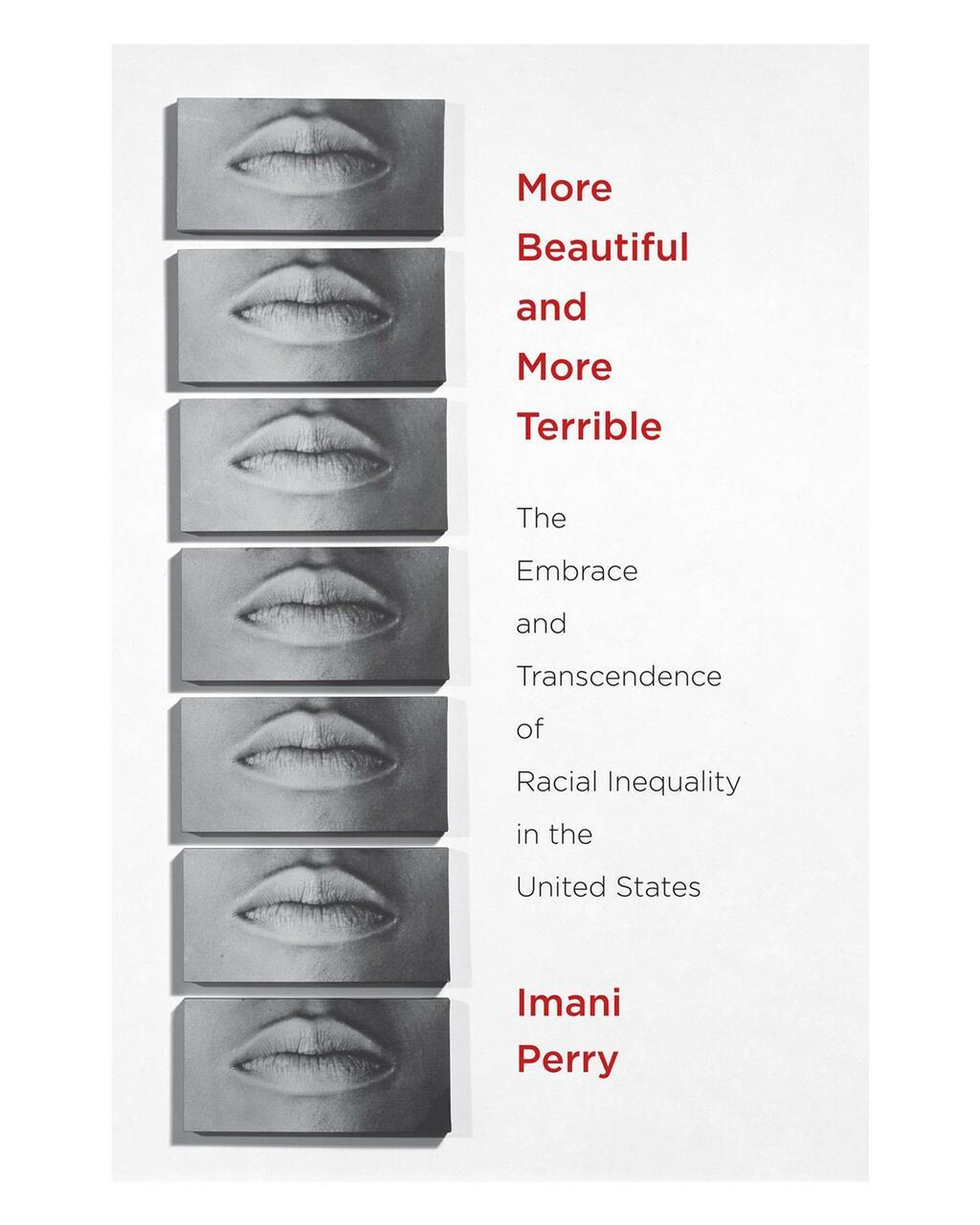 Cover ofMORE BEAUTIFUL AND MORE TERRIBLE THE EMBRACE AND TRANSCENDENCE OF RACIAL INEQUALITY IN TH