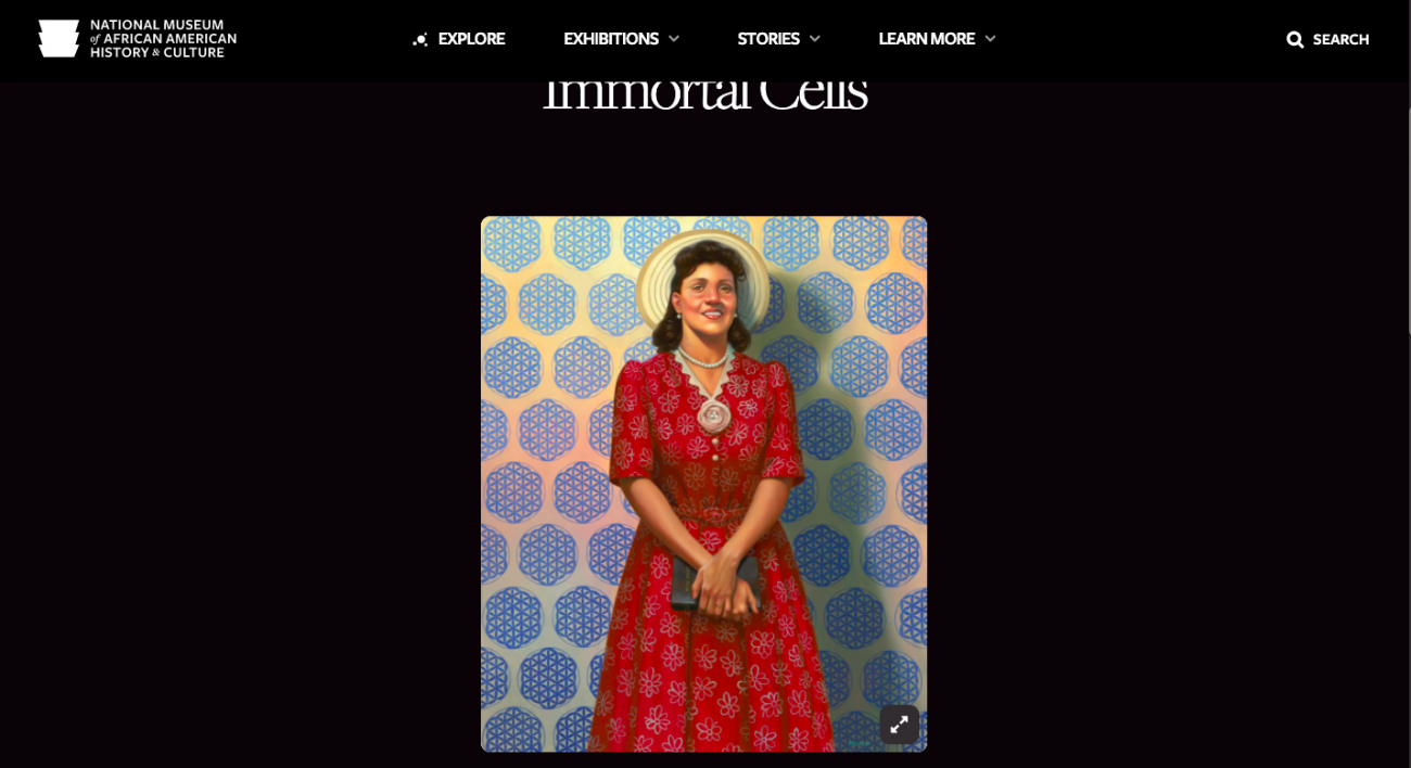Searchable Museum screenshot featuring Henrietta Lacks