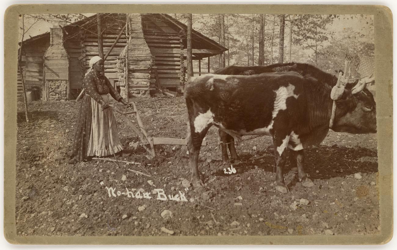 A woman holding a plow pulled by oxen. 