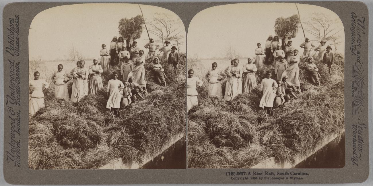 Stereograph of women and children standing on a large pile of rice-straw on a raft.