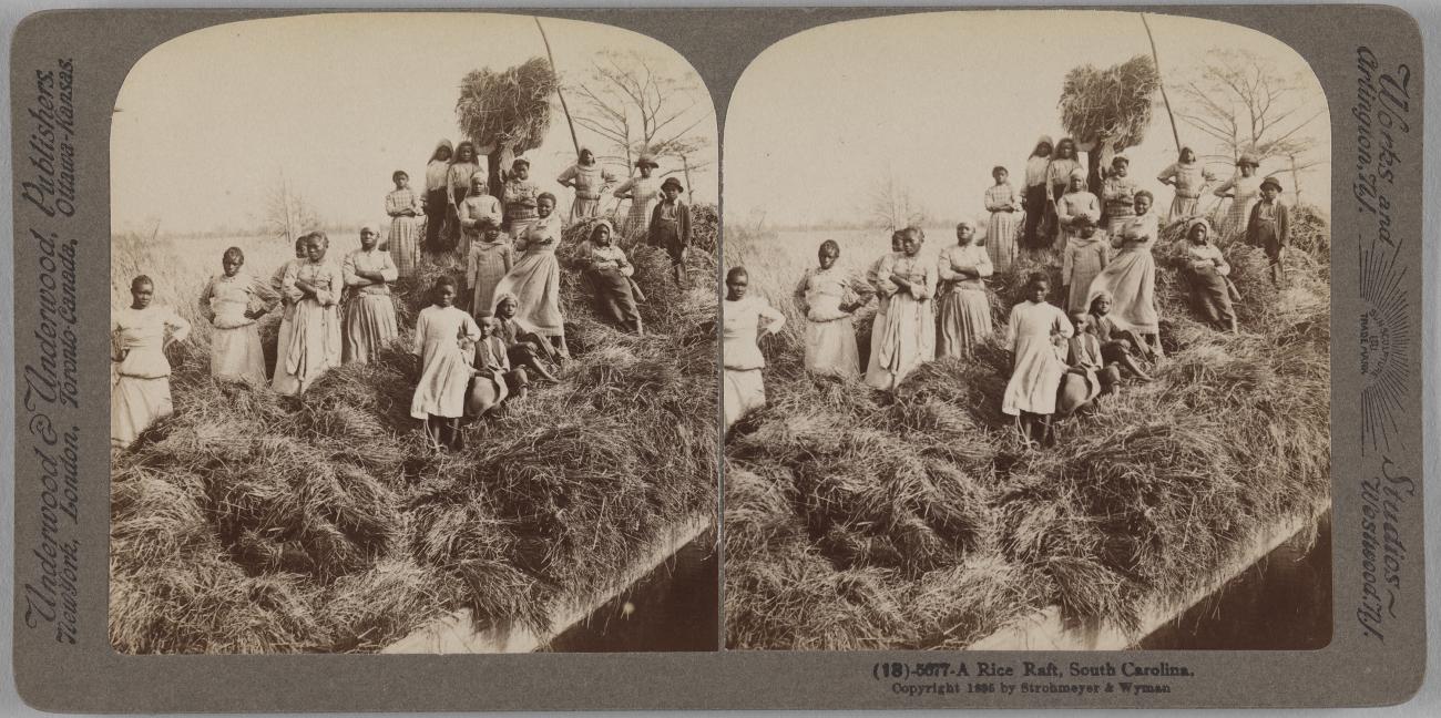 Stereograph of women and children standing on a large pile of rice-straw on a raft. 