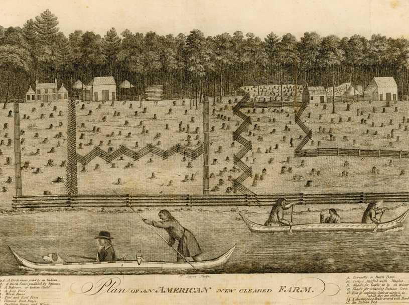 Newly Cleared Farmland in the Colonial Chesapeake