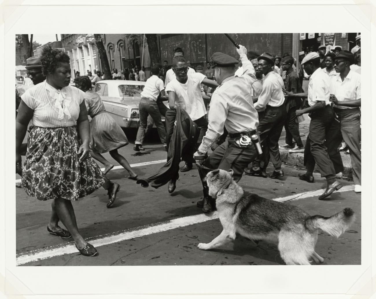 Police Dogs Attack Demonstrators, Birmingham Protests