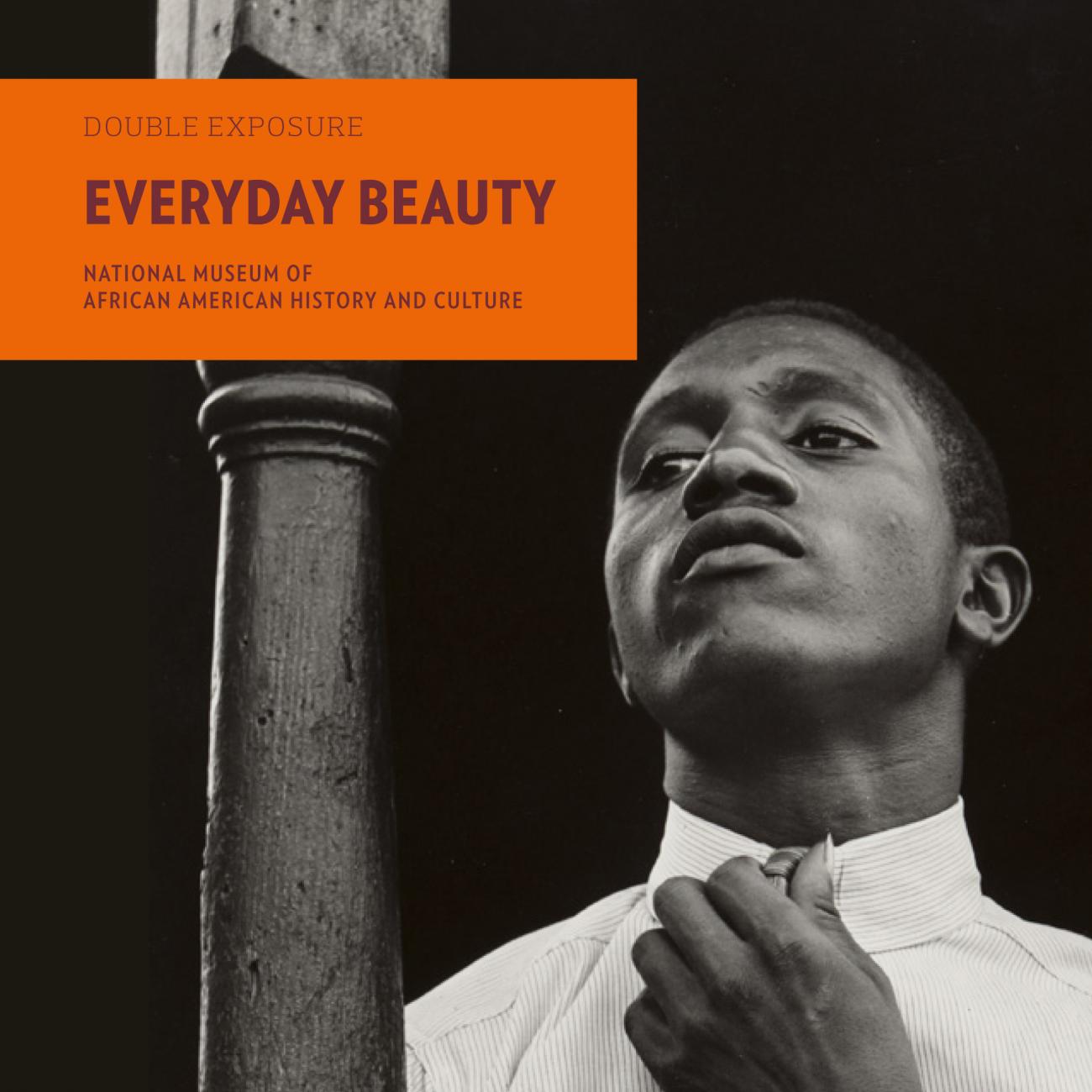 Front Cover of Vol. VI Everyday Beauty